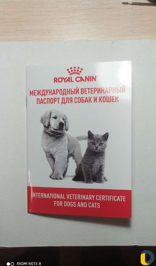 Ветеринарный паспорт