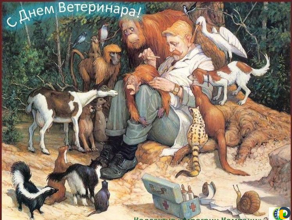Ветеринарный врач