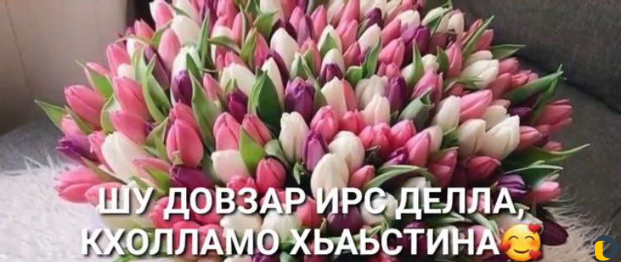 Видео на Заказ