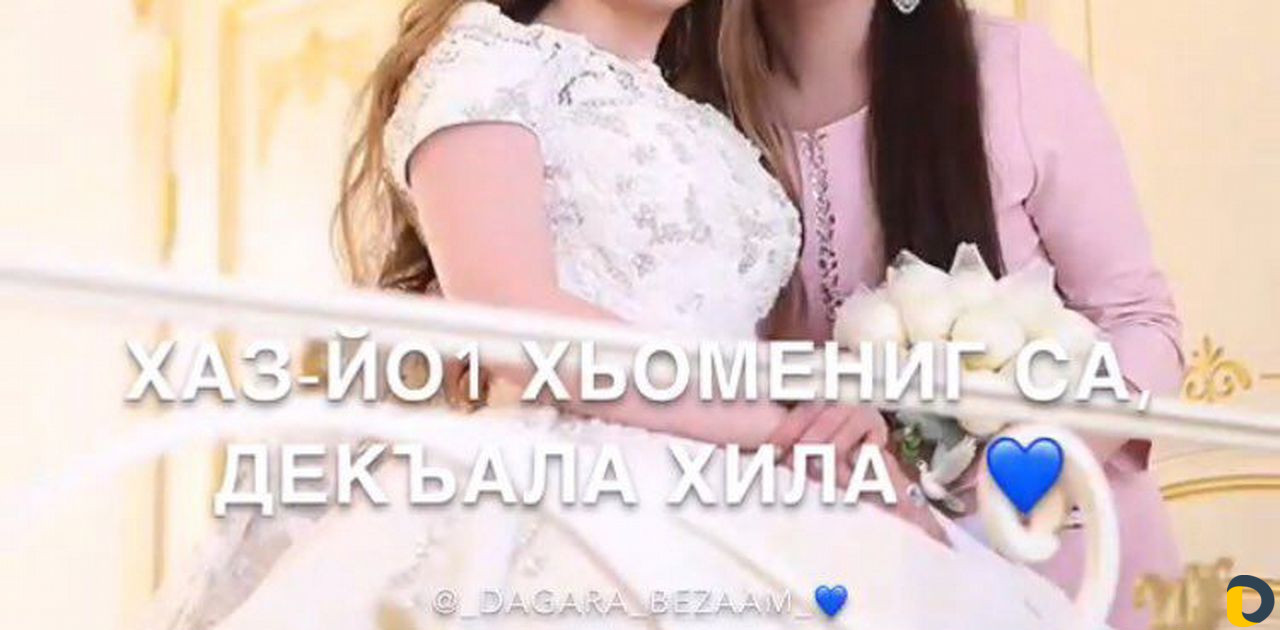 Видео на Заказ