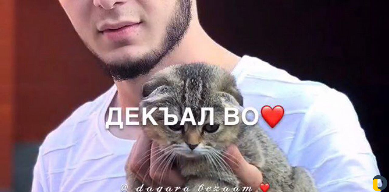 Видео на Заказ