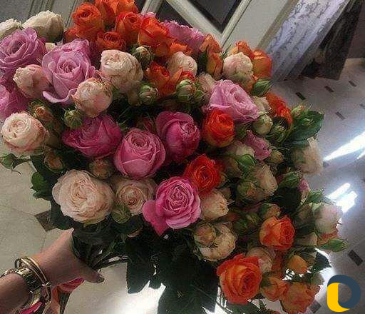 Видеосъемка+фото