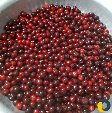 Вишня на продажу