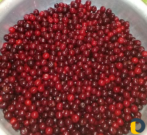 Вишня на продажу