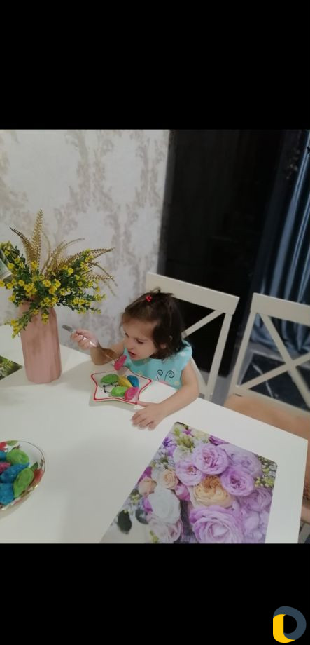 Водитель илиняня