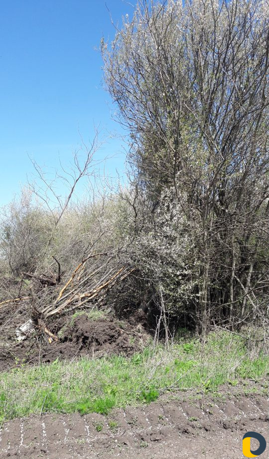 Вспашка Корчевка