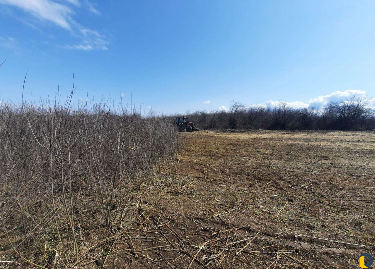 Вспашка Корчевка