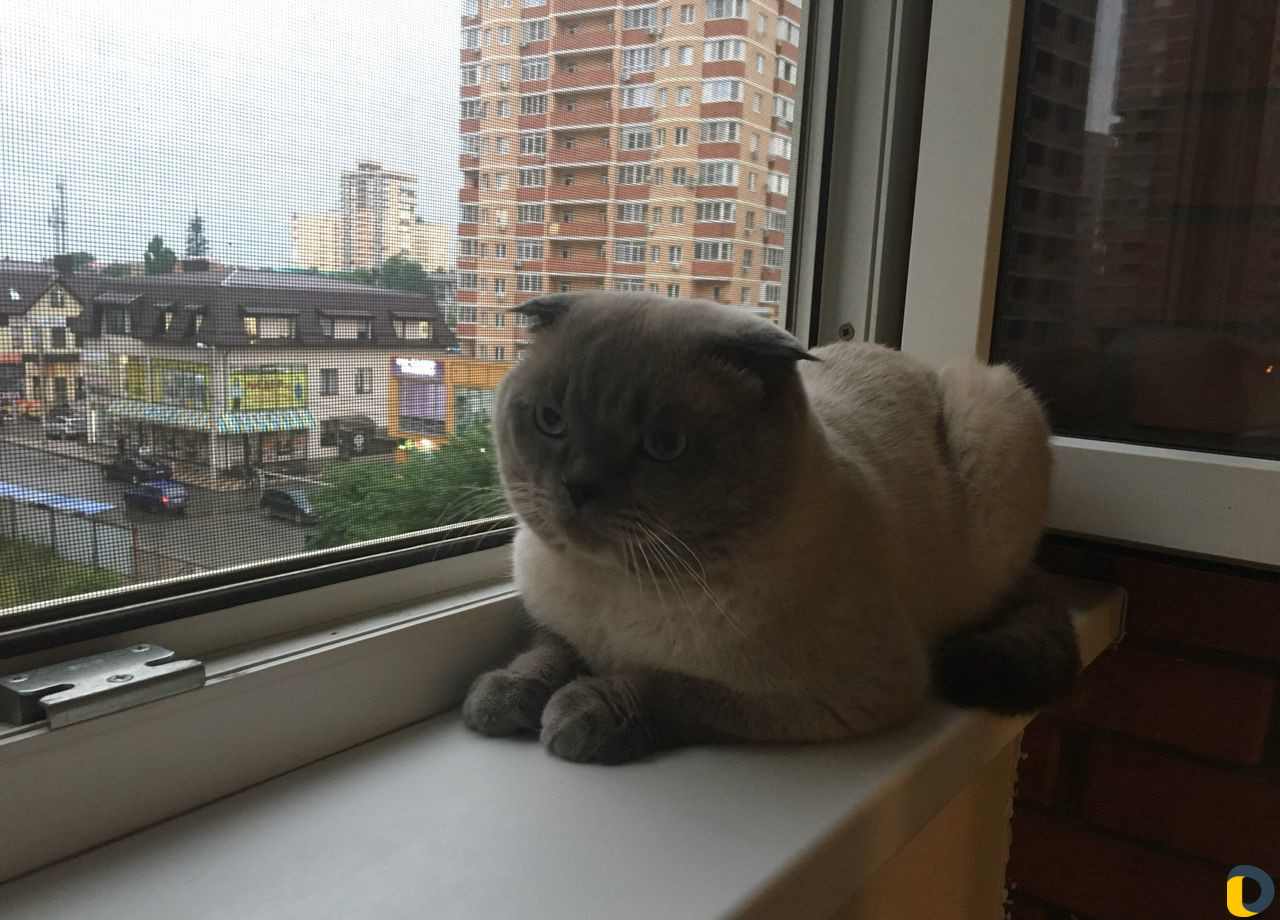 Вязка