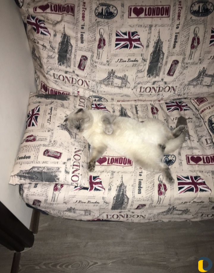 Вязка
