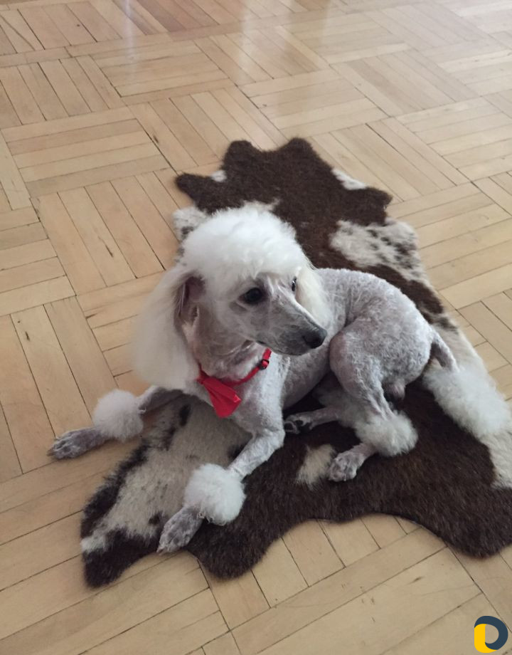 Вязка