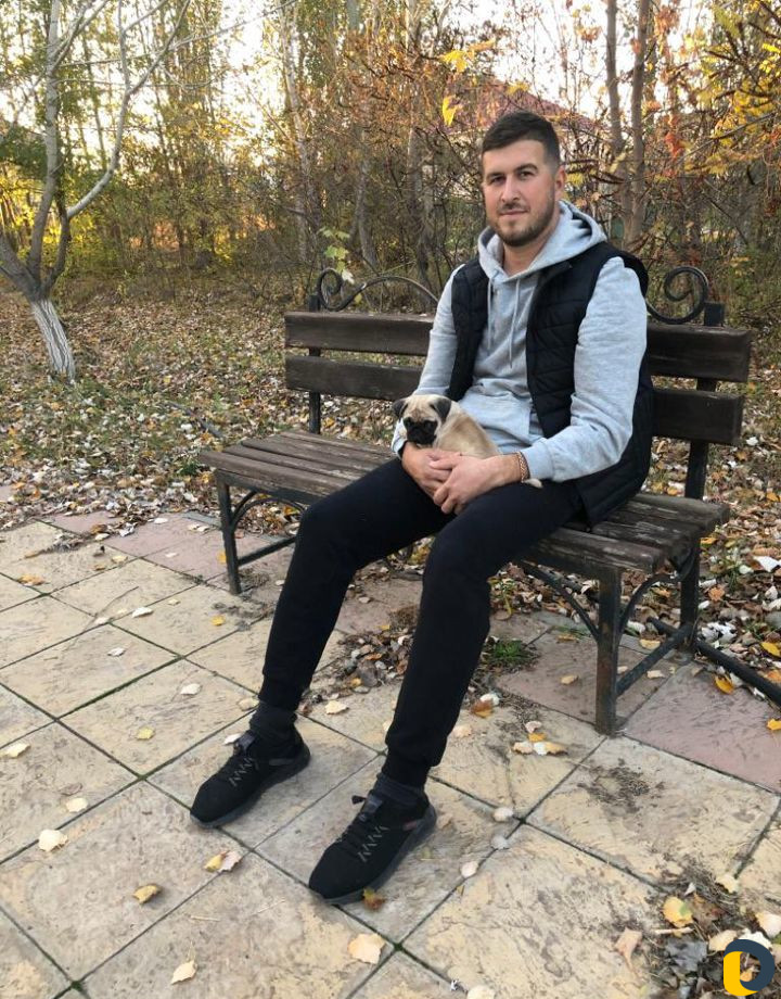 Выгул собак