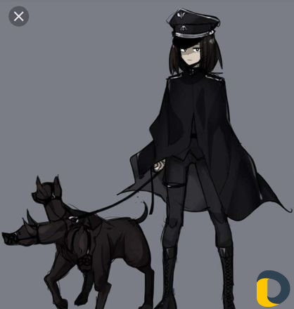 Выгул собак