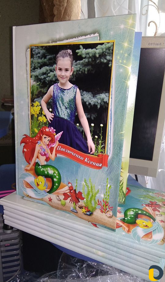 Выпускные альбомы, фотокниги 1,4,9,11 классы, Д/С