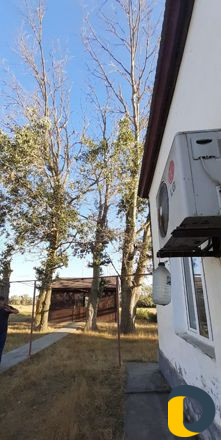 Вырубка деревьев. Вывоз. Махачкала. Каспийск