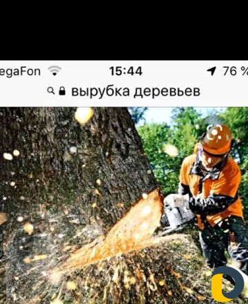 Вырубка,обрезка деревьев