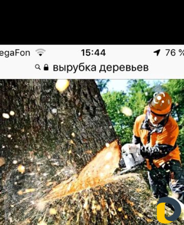 Вырубка,обрезка деревьев