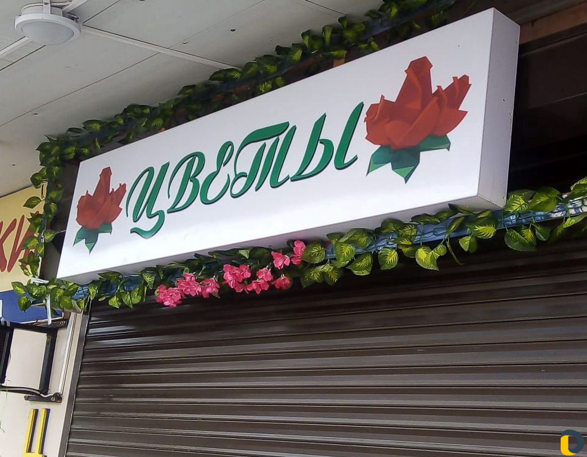 Вывески световые лайтбокс