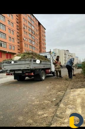 Вывоз мусора, грузчики