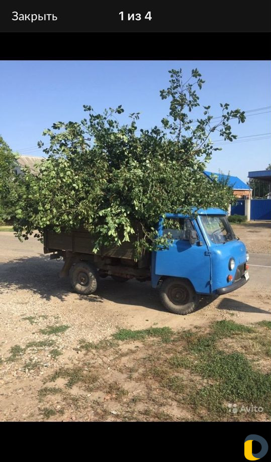 Вывоз мусора