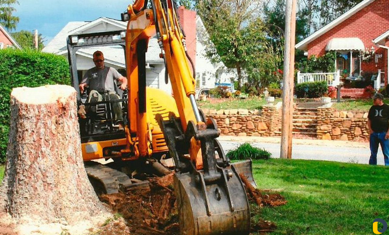 Вывоз строительного мусора. уборка територии