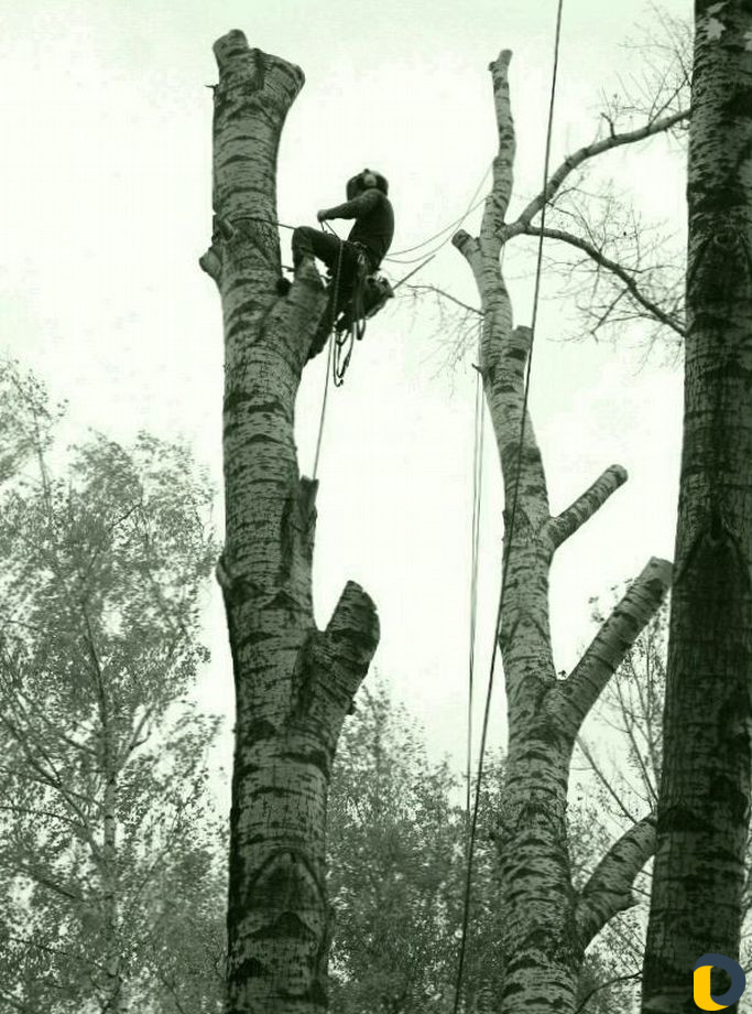 Вывоз строительного мусора. уборка територии