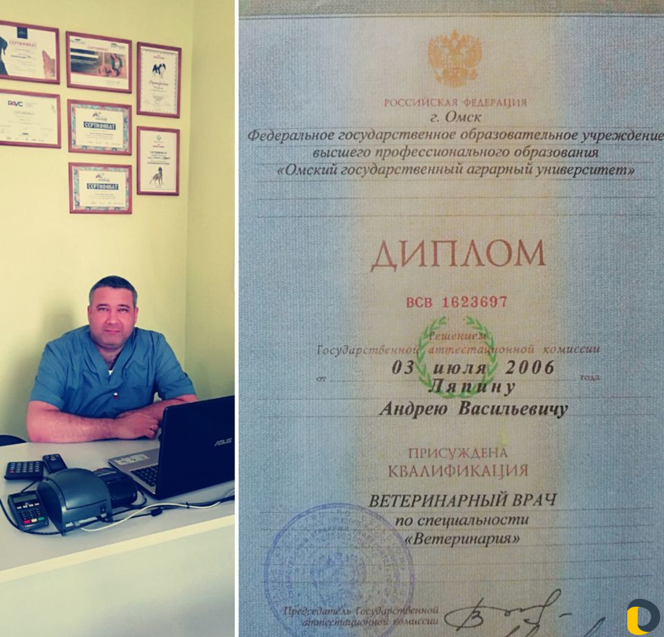 Вызов ветеринарного врача на дом