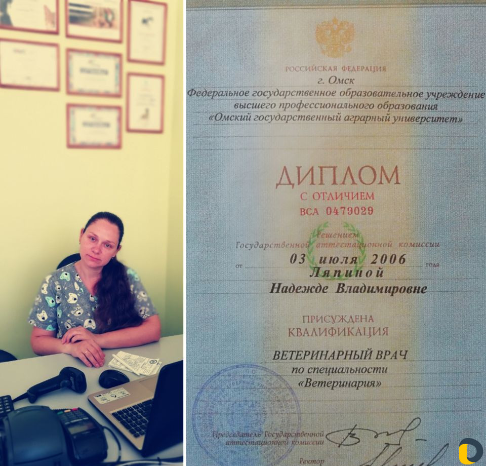 Вызов ветеринарного врача на дом