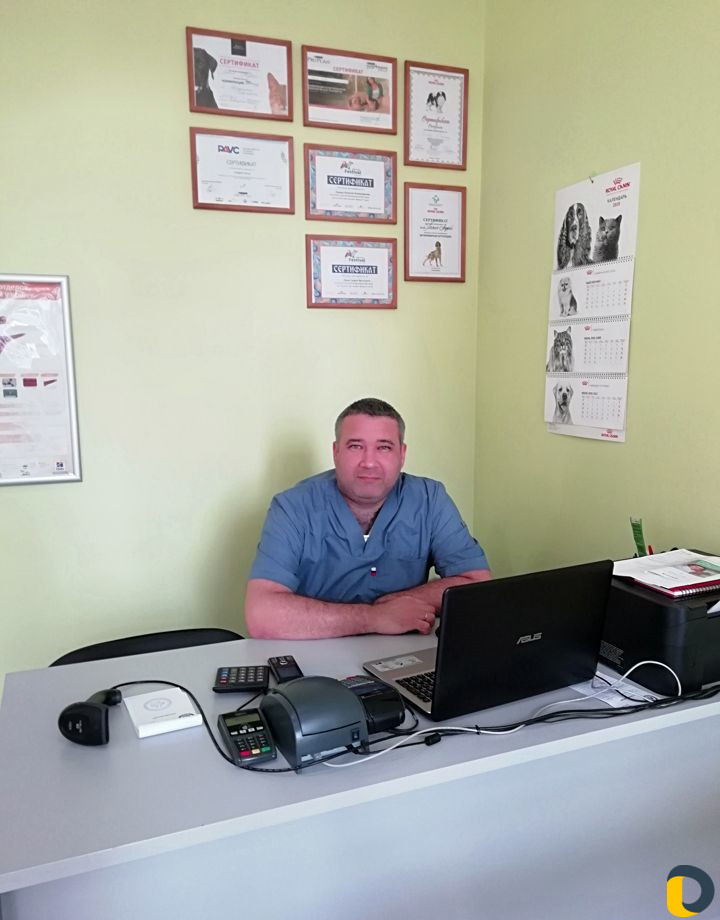 Вызов ветеринарного врача на дом