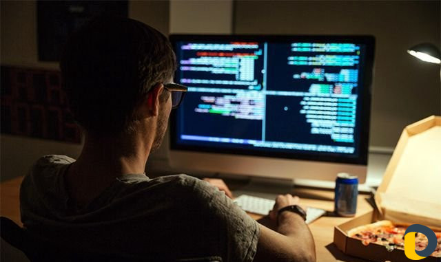 Web разработчик
