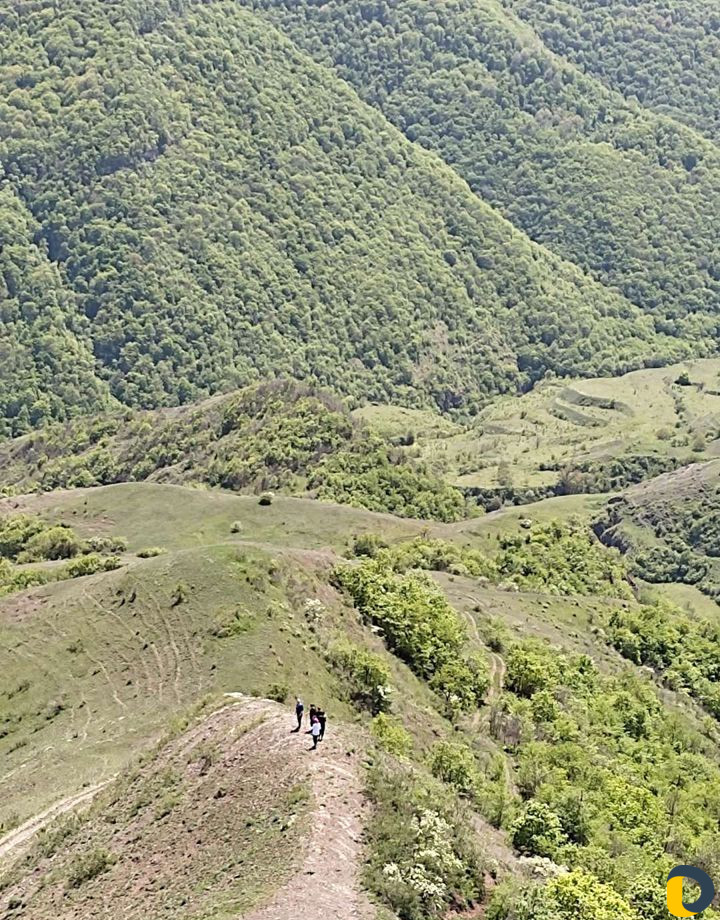 Заказ микроавтобуса