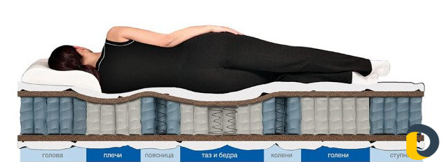 Здоровая спина