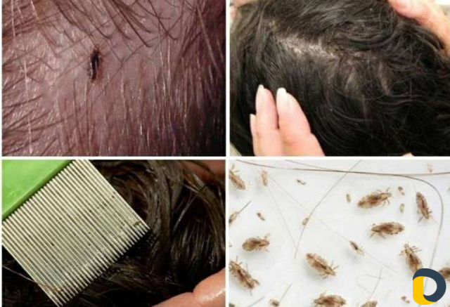 Здоровье и красота