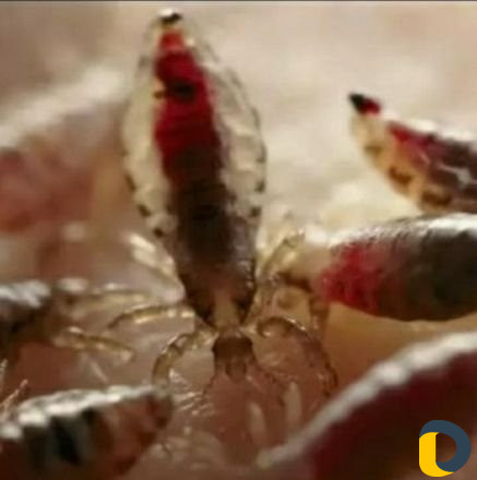 Здоровье и красота