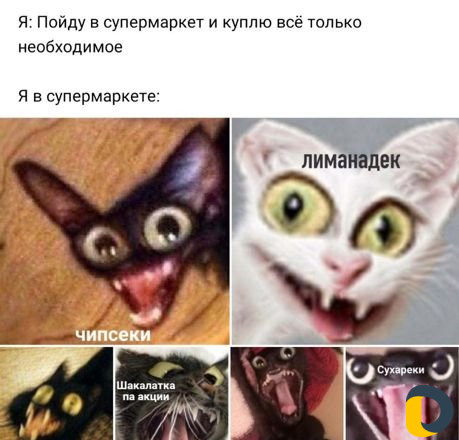 Животные