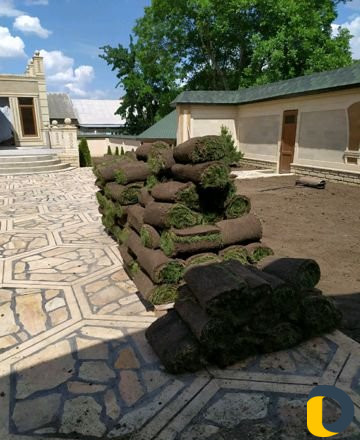 Живой газон, укладка гозона,посадка деревьев обрез