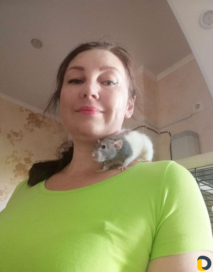 Зоогостиница, передержка кошек, собак, грызунов