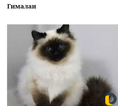 Зоогостиница