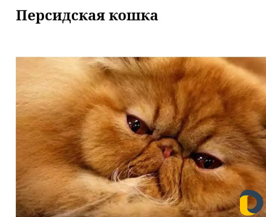 Зоогостиница