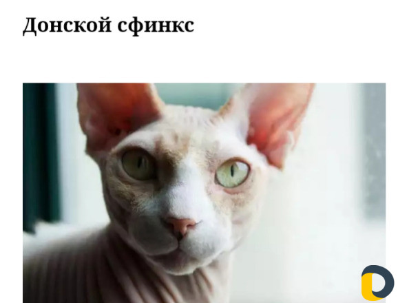 Зоогостиница