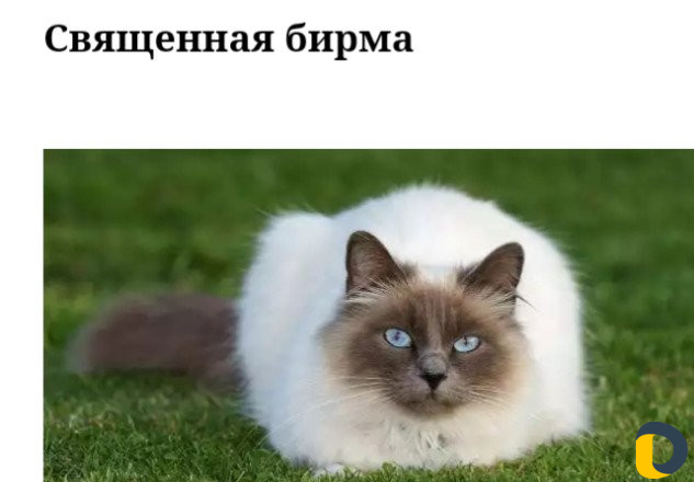 Зоогостиница